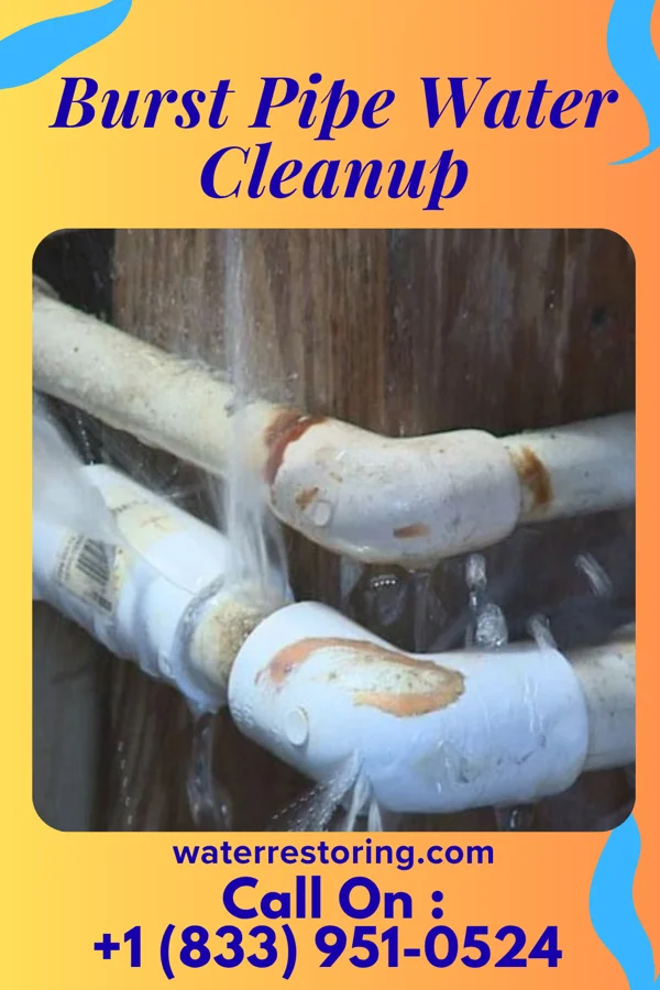 Burst Pipe Water Cleanup in Waite Park, MN