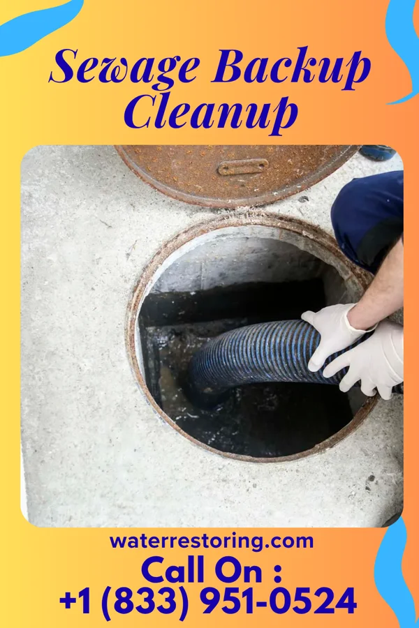 Sewage Backup Cleanup in Waite Park, MN