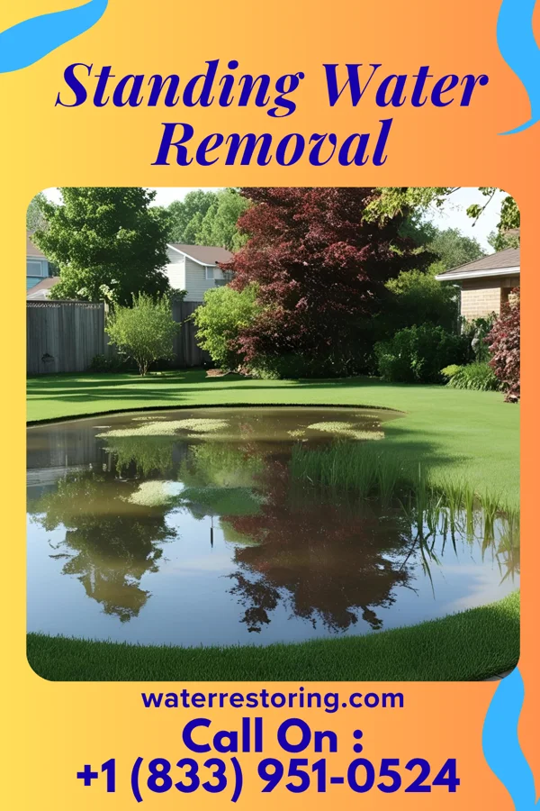 Standing Water Removal in Waite Park, MN